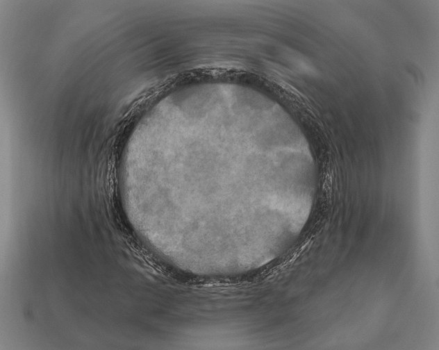 X0000112201014200909181529