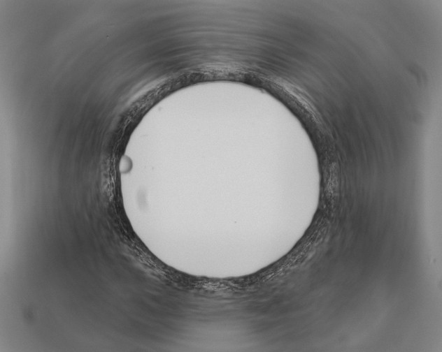 X0000112201015200909181529