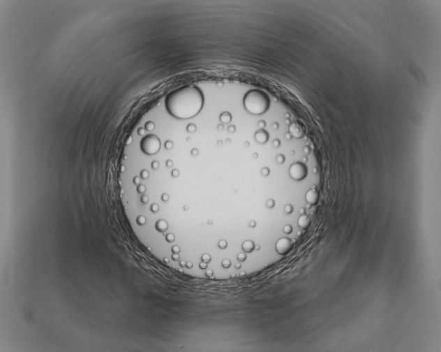 X0000112201016200909181529
