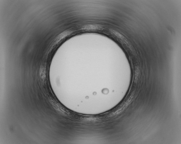 X0000112201017200909181529