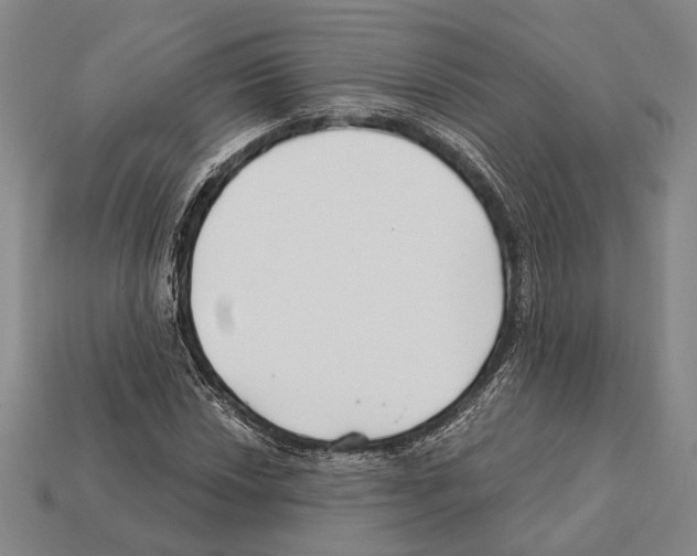 X0000112201018200909181529
