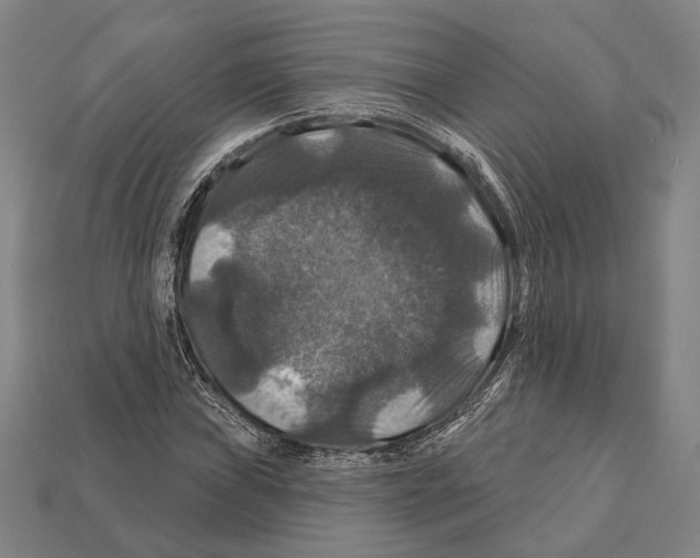 X0000112201019200909181529