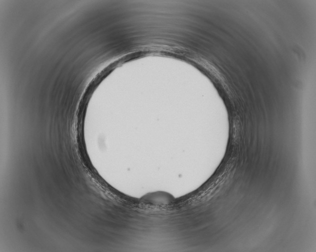 X0000112201020200909181529