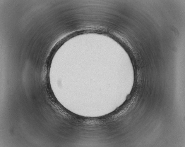 X0000112201021200909181529
