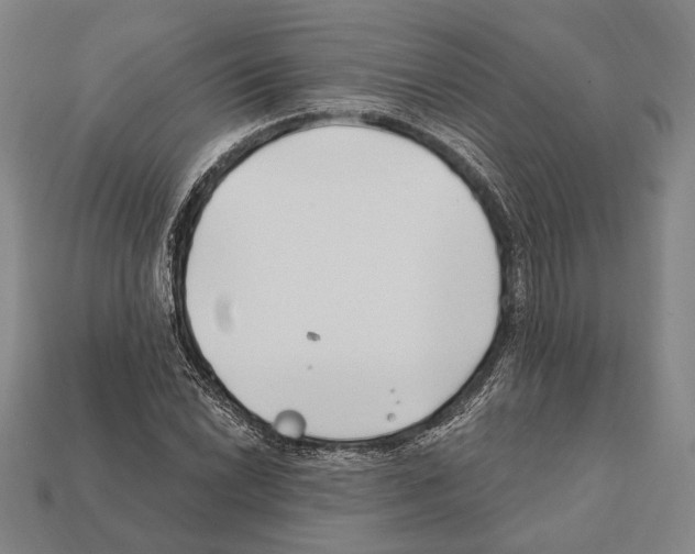 X0000112201022200909181529