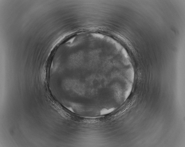 X0000112201023200909181529