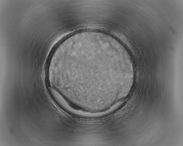 X0000112201024200909181529