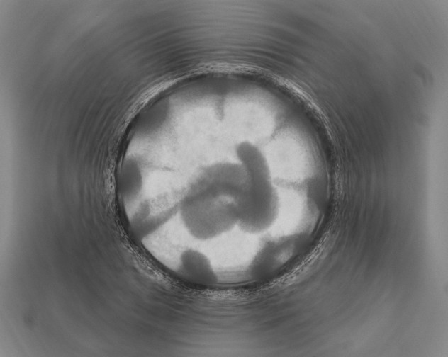 X0000112201025200909181529