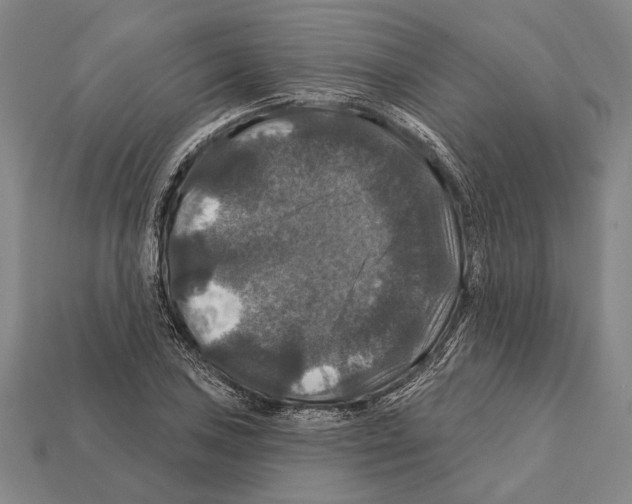 X0000112201027200909181529