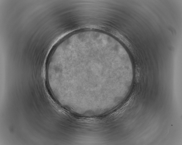 X0000112201028200909181529