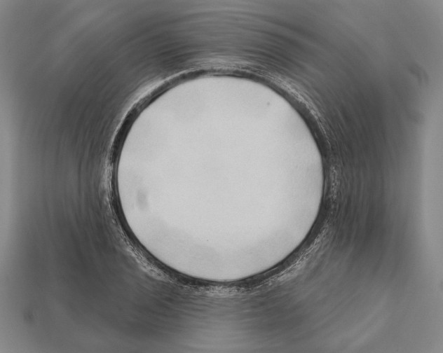 X0000112201029200909181529