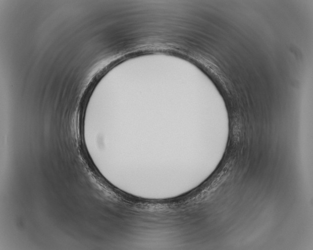 X0000112201030200909181529