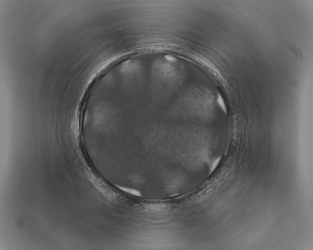 X0000112201031200909181529