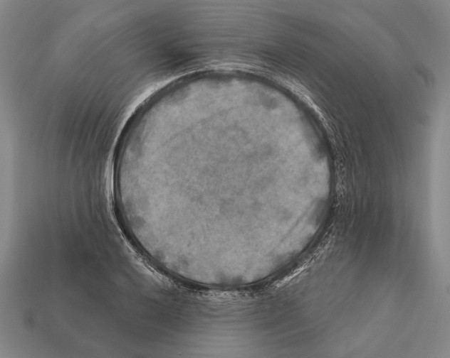 X0000112201032200909181529