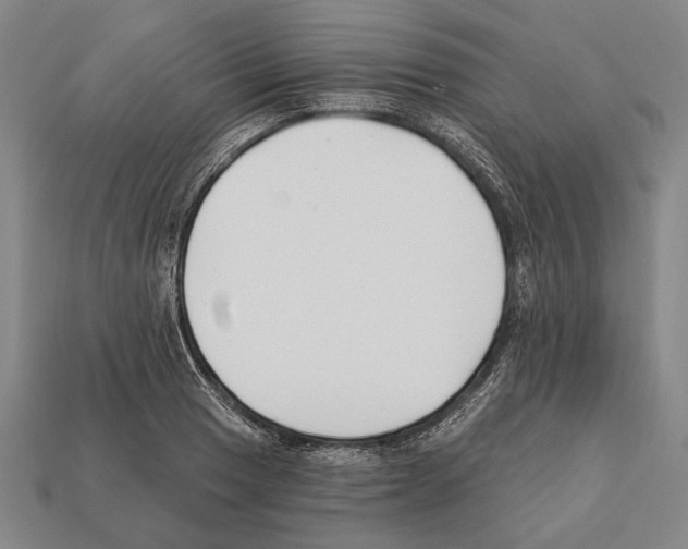 X0000112201033200909181529