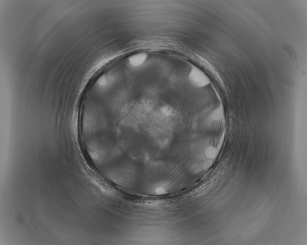 X0000112201035200909181529