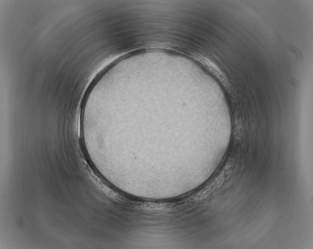 X0000112201036200909181529