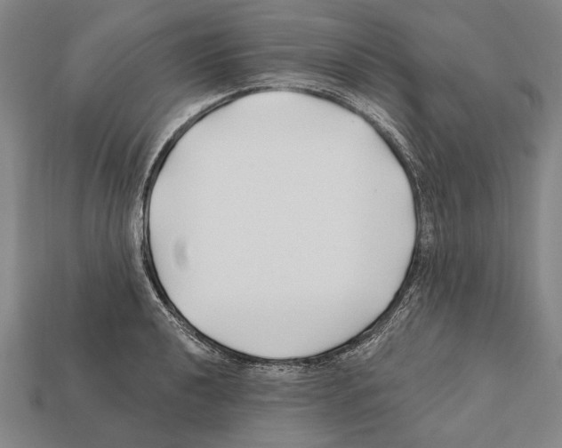 X0000112201040200909181529
