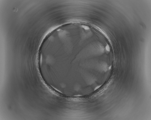 X0000112201045200909181529