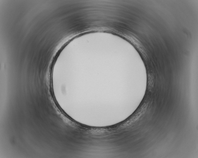 X0000112201046200909181529