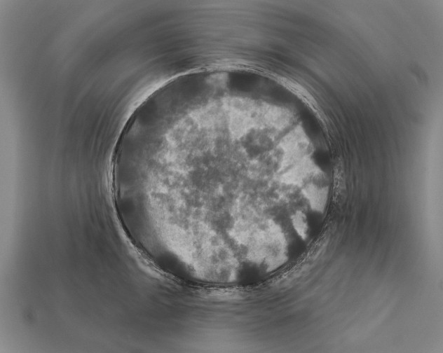 X0000112201047200909181529