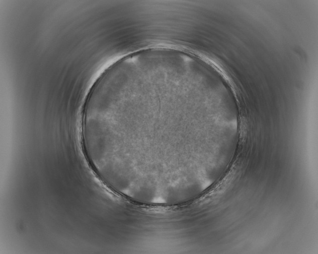 X0000112201048200909181529