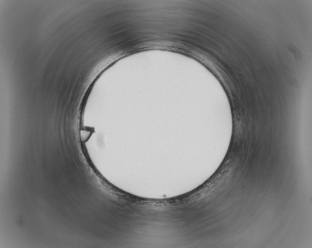 X0000112201050200909181529