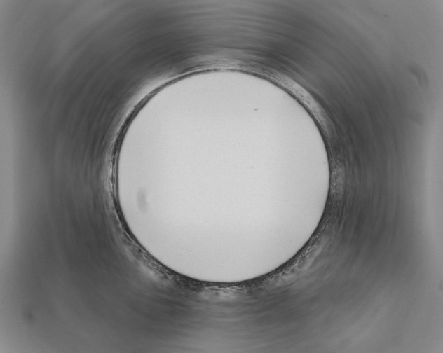 X0000112201051200909181529