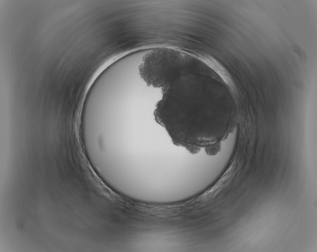 X0000112201052200909181529