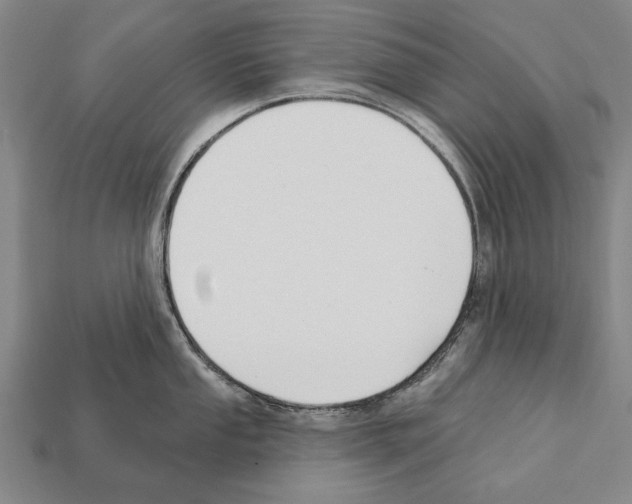 X0000112201053200909181529