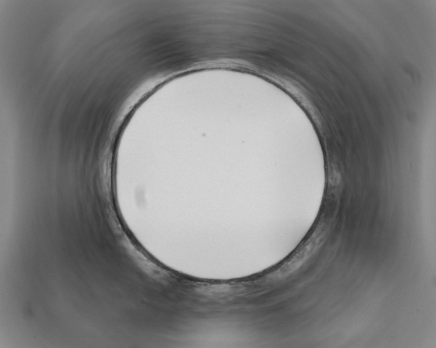 X0000112201054200909181529