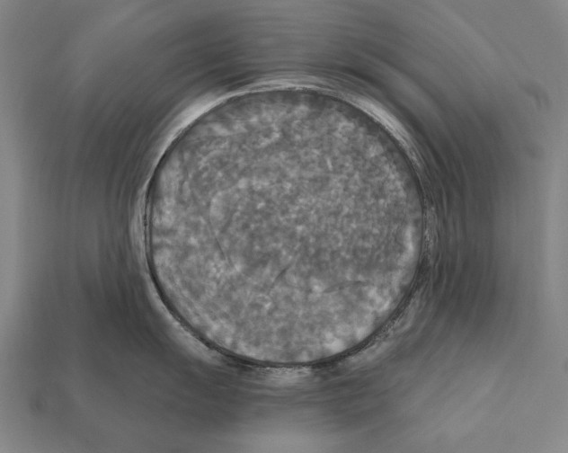 X0000112201055200909181529