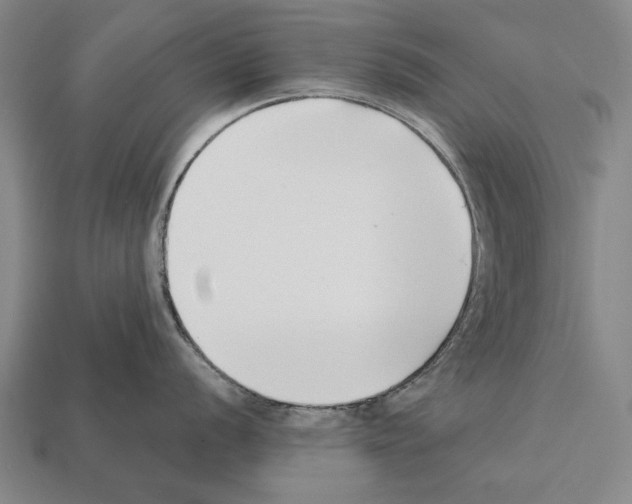 X0000112201056200909181529
