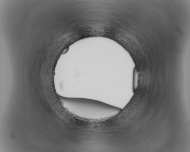 X0000112201057200909181529