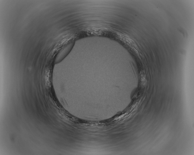 X0000112201060200909181529