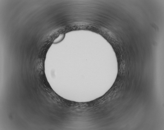 X0000112201062200909181529
