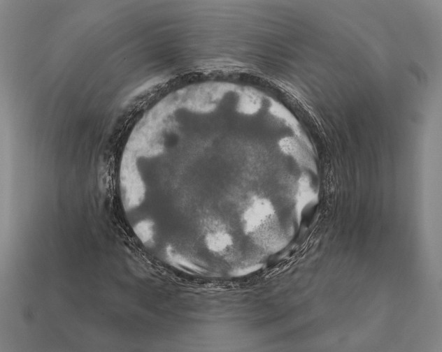 X0000112201063200909181529