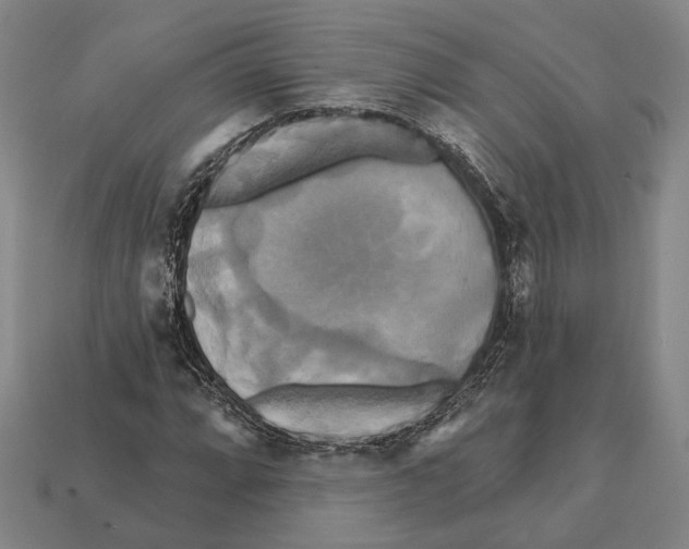 X0000112201064200909181529