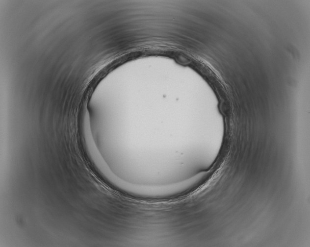 X0000112201065200909181529