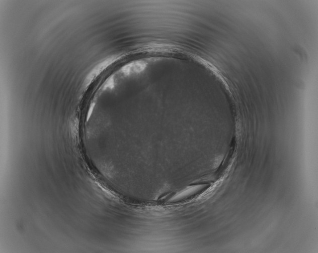 X0000112201066200909181529