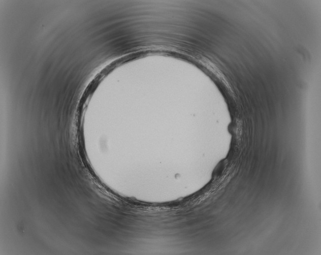 X0000112201068200909181529