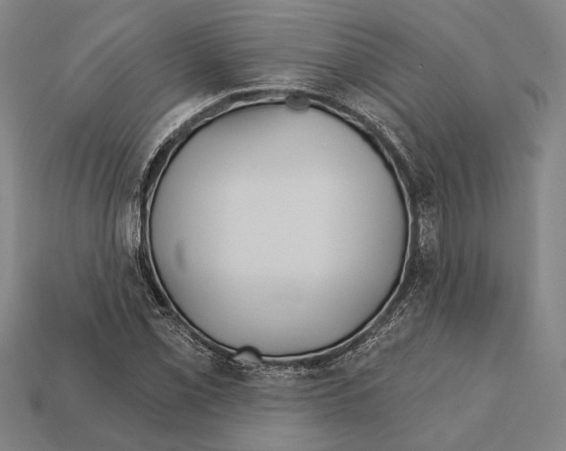 X0000112201069200909181528