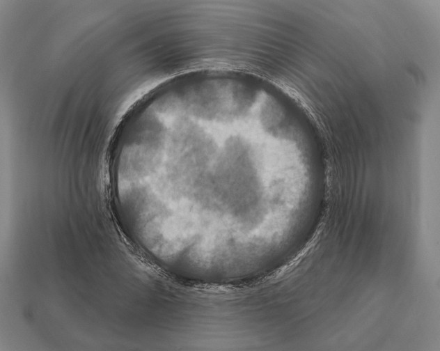 X0000112201070200909181528