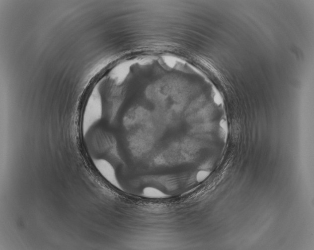 X0000112201071200909181528