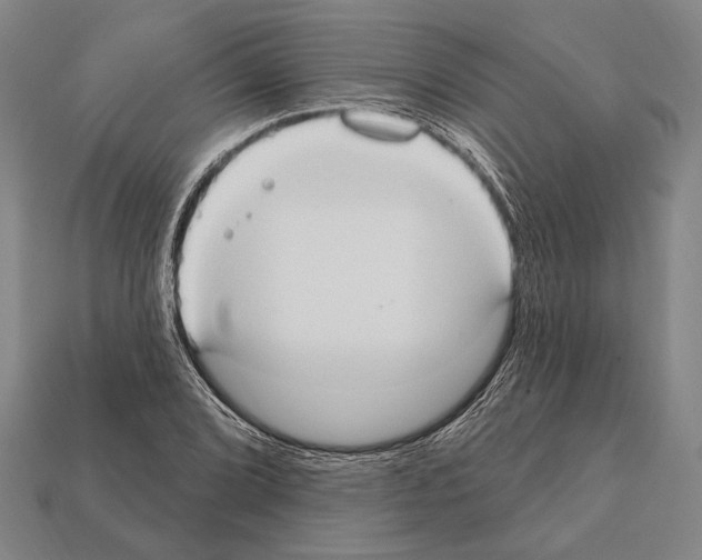X0000112201072200909181528