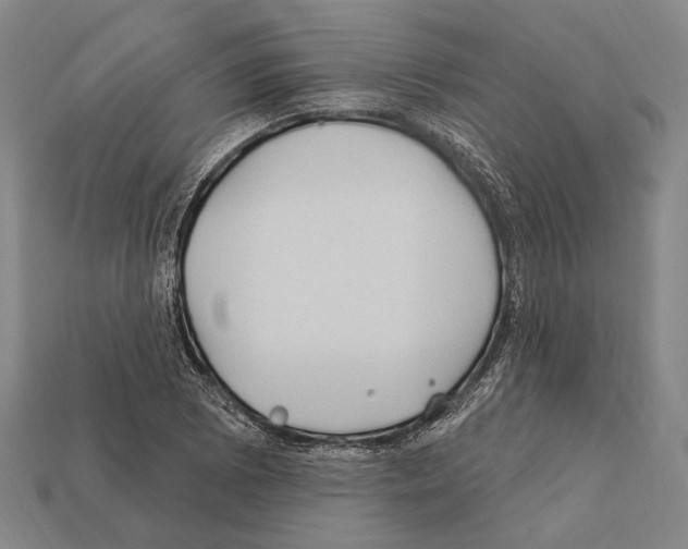 X0000112201073200909181528