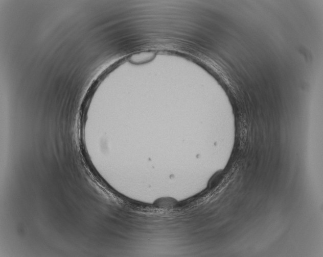 X0000112201076200909181528