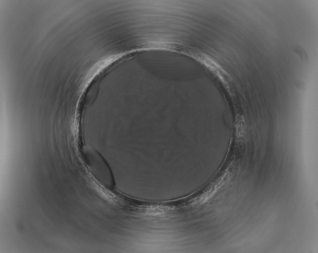 X0000112201077200909181528