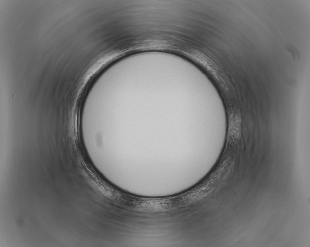 X0000112201078200909181528
