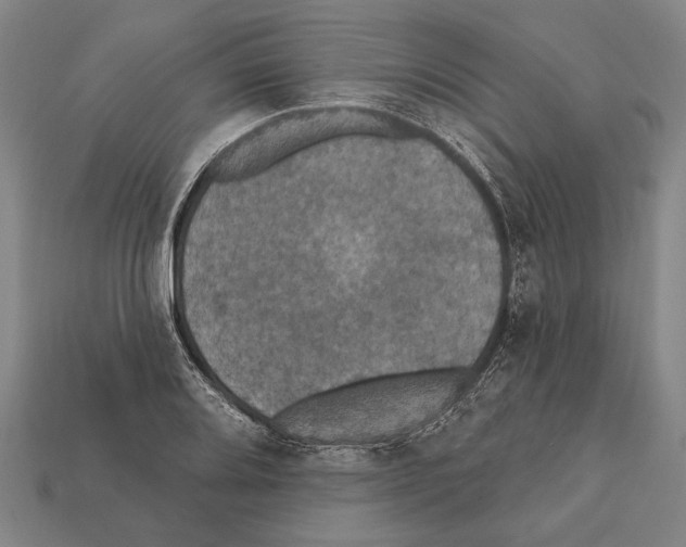 X0000112201080200909181528